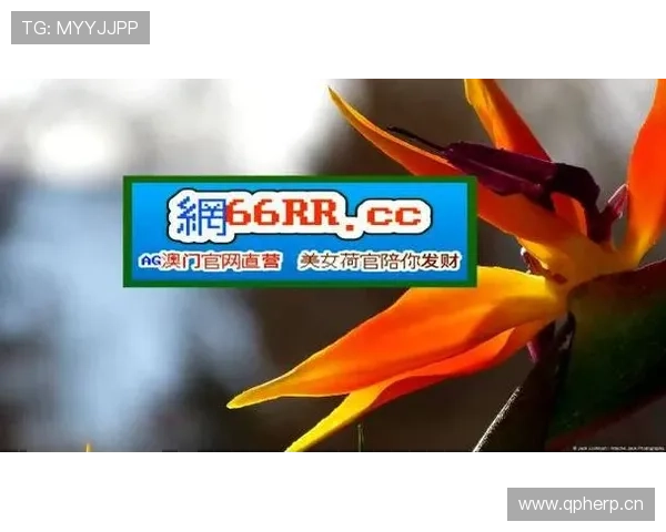 J9九游会手机官方地址官方入口最新动态，第一时间掌握平台官方公告与更新信息